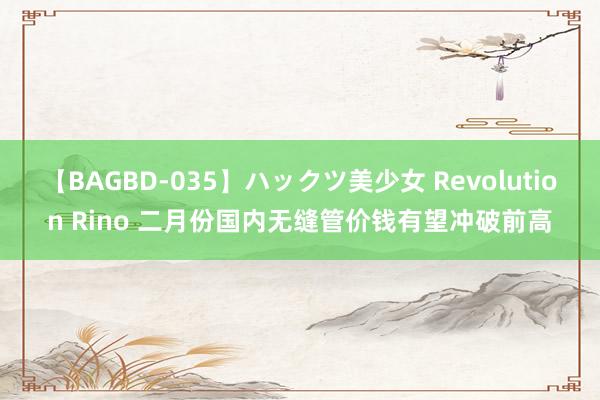 【BAGBD-035】ハックツ美少女 Revolution Rino 二月份国内无缝管价钱有望冲破前高