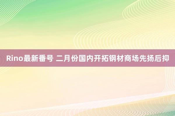 Rino最新番号 二月份国内开拓钢材商场先扬后抑