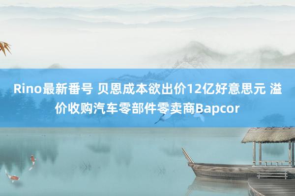 Rino最新番号 贝恩成本欲出价12亿好意思元 溢价收购汽车零部件零卖商Bapcor