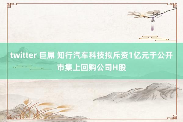 twitter 巨屌 知行汽车科技拟斥资1亿元于公开市集上回购公司H股