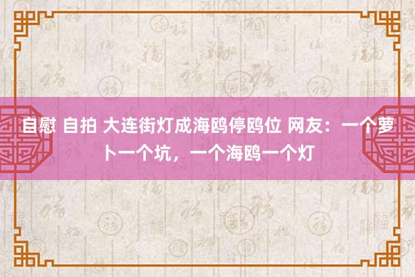 自慰 自拍 大连街灯成海鸥停鸥位 网友：一个萝卜一个坑，一个海鸥一个灯