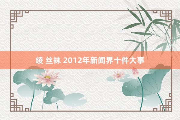 绫 丝袜 2012年新闻界十件大事