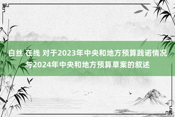 白丝 在线 对于2023年中央和地方预算践诺情况与2024年中央和地方预算草案的叙述