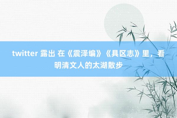 twitter 露出 在《震泽编》《具区志》里，看明清文人的太湖散步