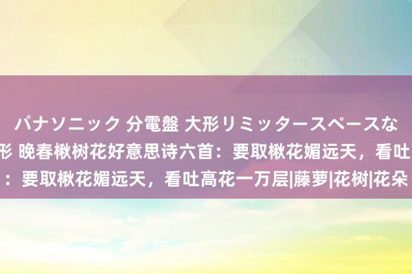 パナソニック 分電盤 大形リミッタースペースなし 露出・半埋込両用形 晚春楸树花好意思诗六首：要取楸花媚远天，看吐高花一万层|藤萝|花树|花朵