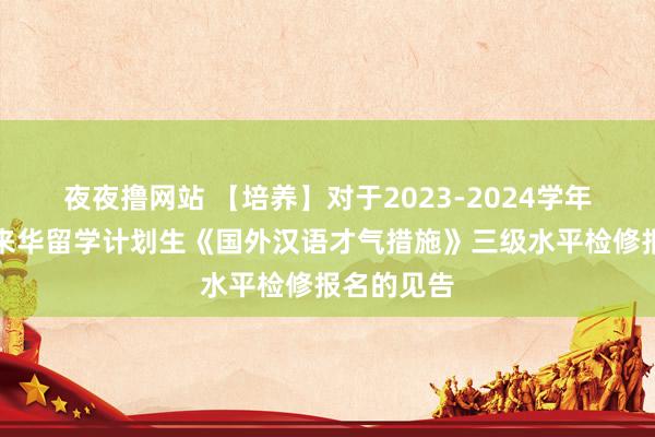 夜夜撸网站 【培养】对于2023-2024学年秋季学期来华留学计划生《国外汉语才气措施》三级水平检修报名的见告