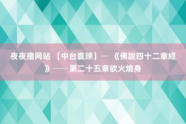 夜夜撸网站 【中台寰球】─ 《佛說四十二章經》──第二十五章欲火燒身