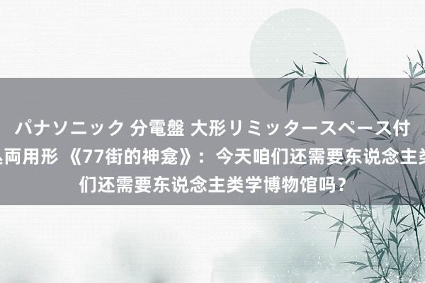 パナソニック 分電盤 大形リミッタースペース付 露出・半埋込両用形 《77街的神龛》：今天咱们还需要东说念主类学博物馆吗？