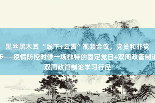 黑丝黑木耳 “线下+云霄”视频会议，党员和非党员学习同步——疫情防控时候一场独特的固定党日+双周政管制论学习行径