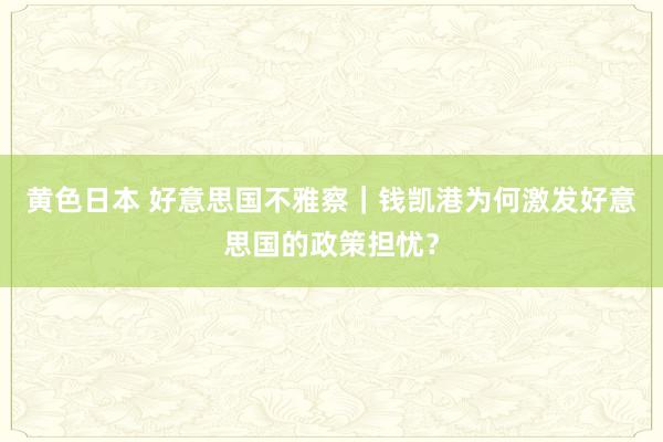 黄色日本 好意思国不雅察｜钱凯港为何激发好意思国的政策担忧？